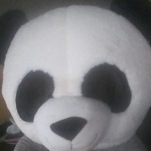 Meet your Posher, Savannah